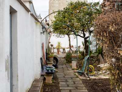 Mentre passiamo tra le aiuole, al di l� delle piante e delle palme che dominano la scena scorgiamo un verdeggiante vialetto laterale delimitato dal muro di cinta e protetto in alto da una ringhiera e da archi in ferro 